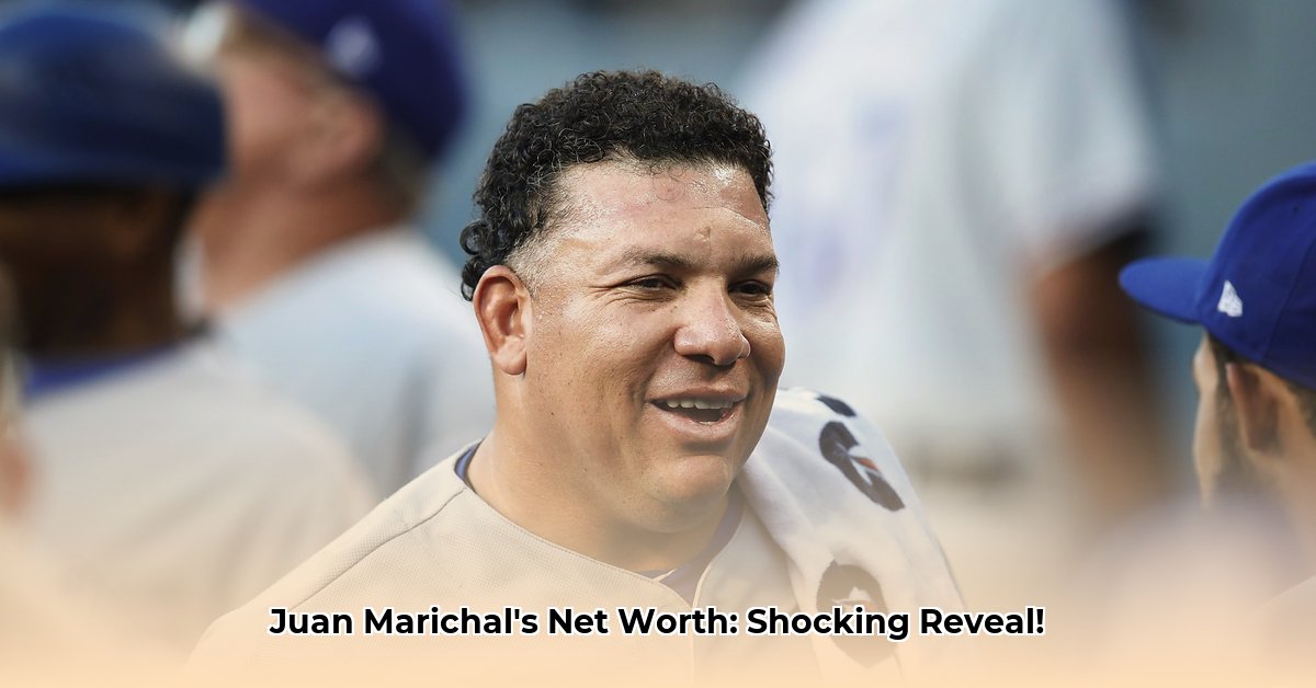 juan-marichal-net-worth
